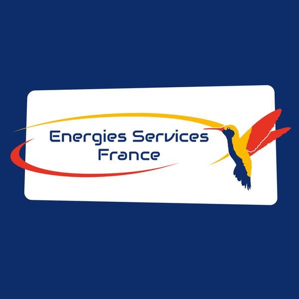 Energies Services France électricité générale (entreprise)