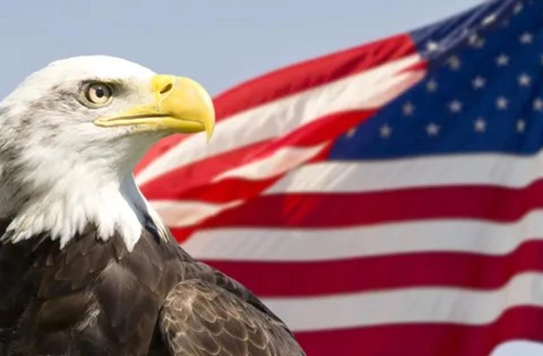 All American Bail Bonds