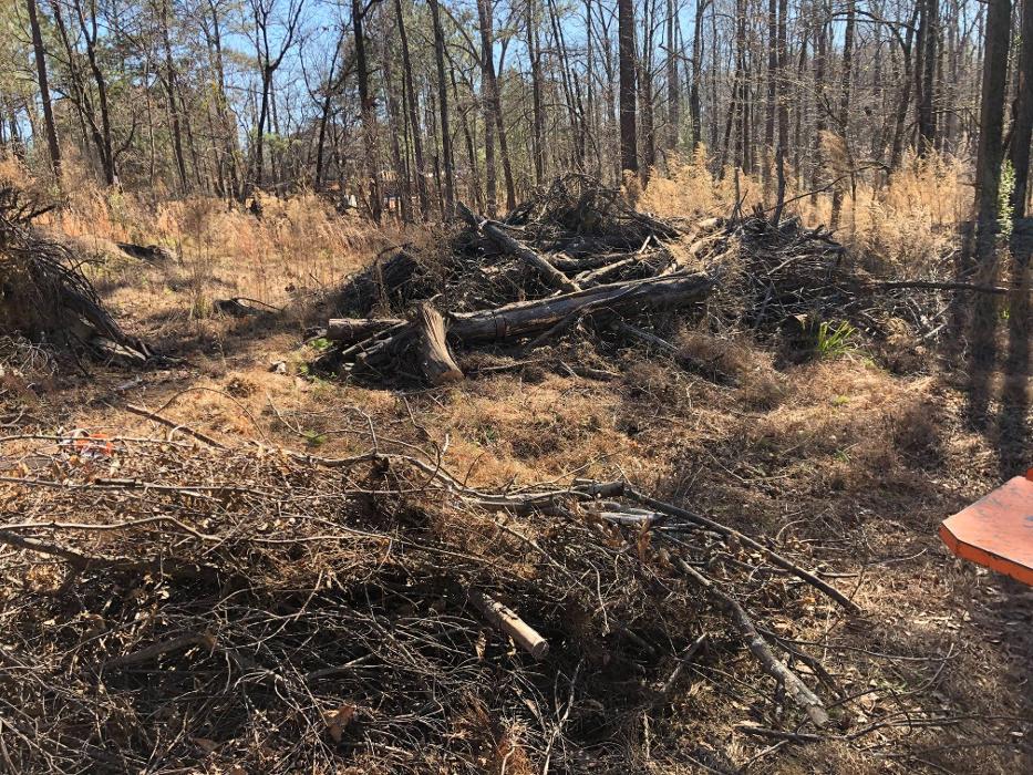 LumberJohn Tree Service - Columbus, GA