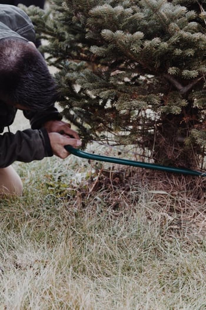 LumberJohn Tree Service - Columbus, GA