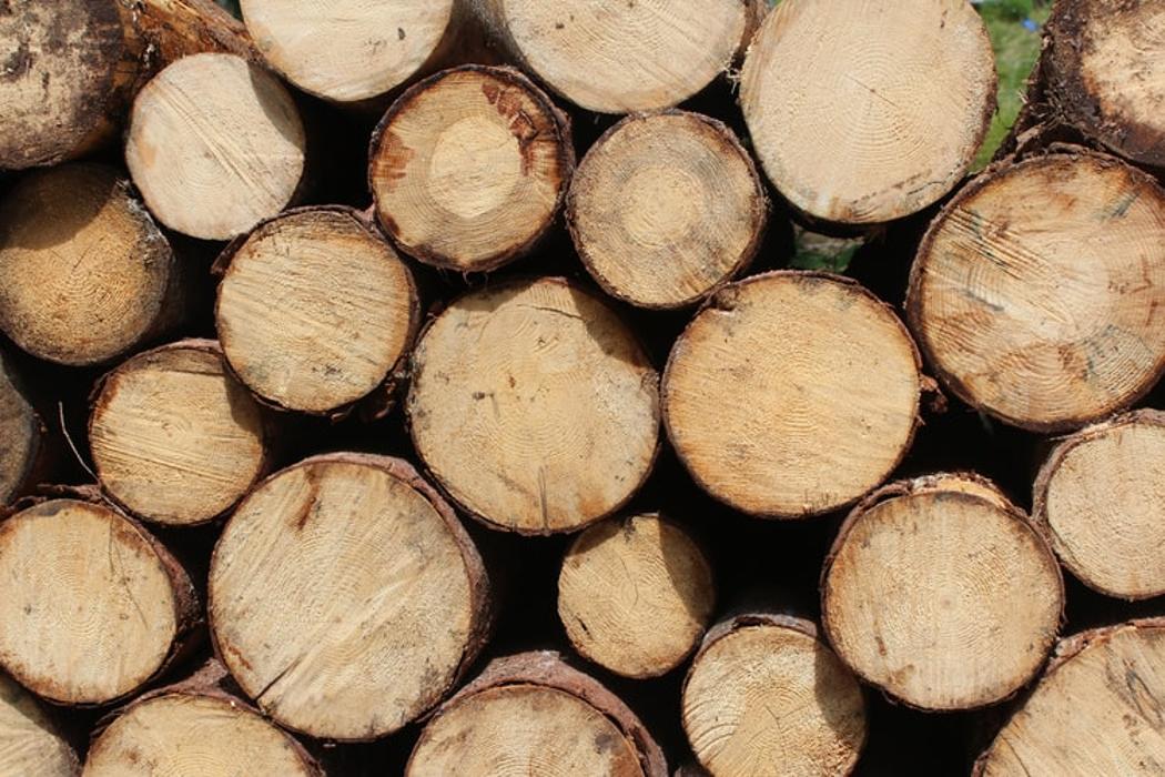 LumberJohn Tree Service - Columbus, GA