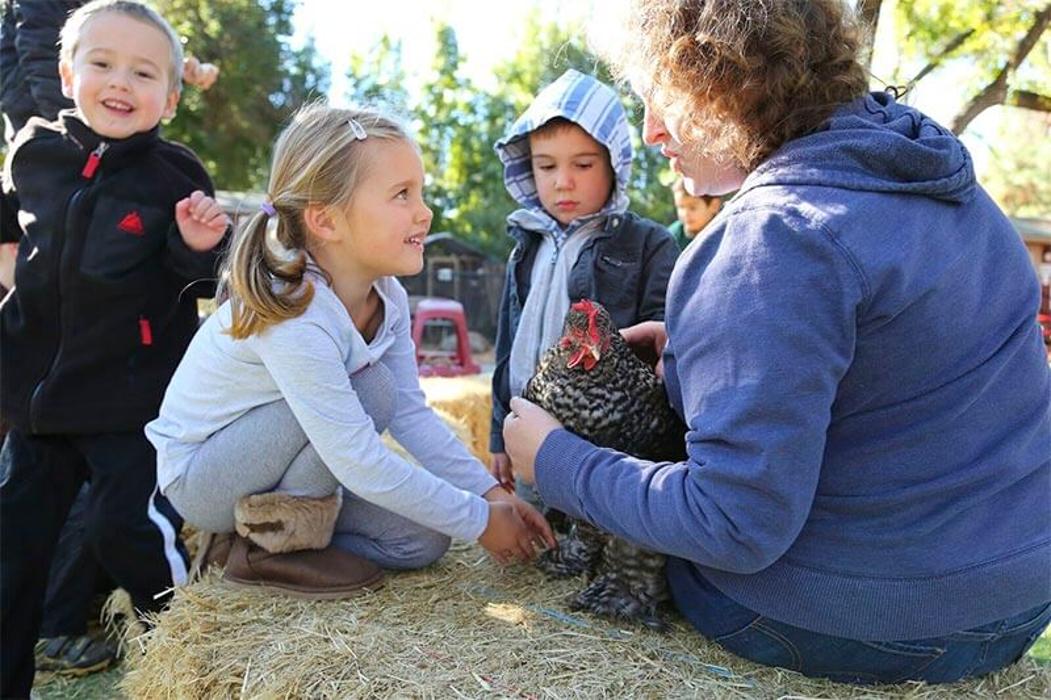 Montecito School - Los Altos, CA