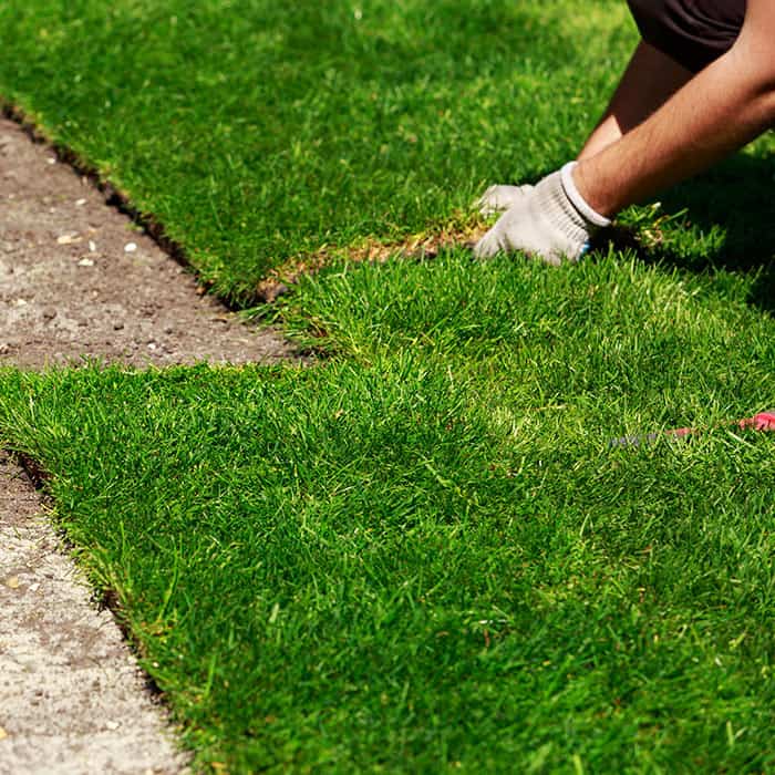 Image 3 | Starr Turf Grass & Stone