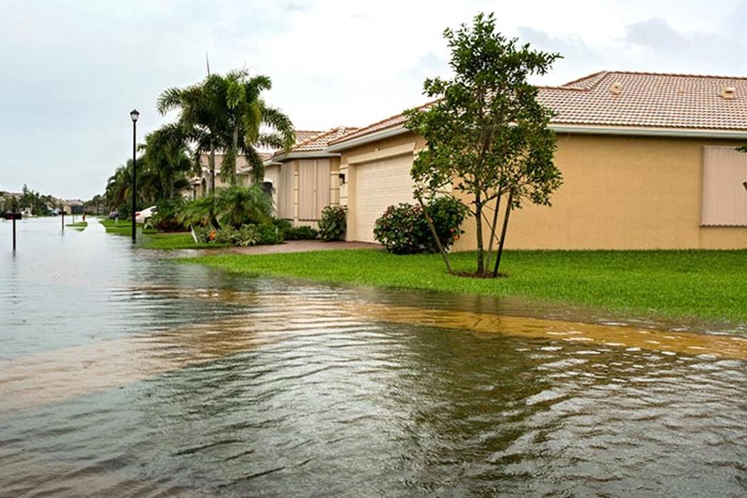 Coastal DKI - Stuart - Stuart, FL