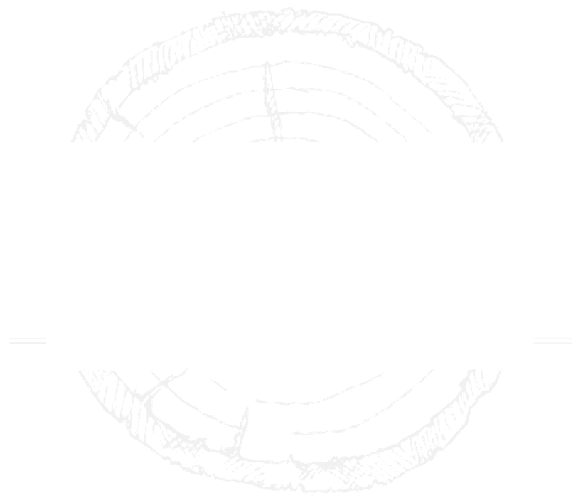 Devo's Tree & Stump removal Image