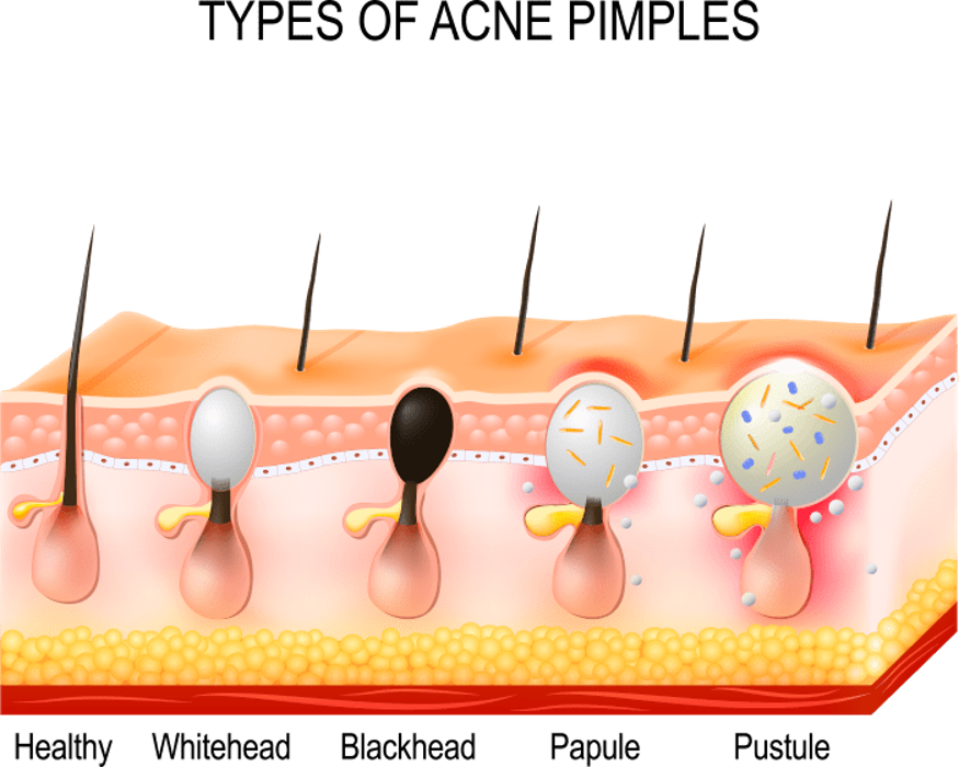 Divine Dermatology and Surgical Institute - Fort Collins, CO