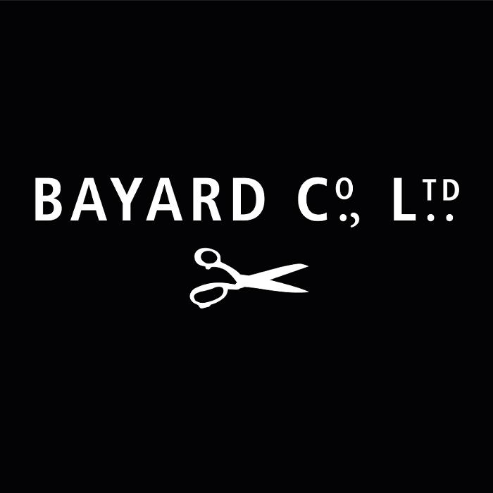 BAYARD CO LTD in Aargau