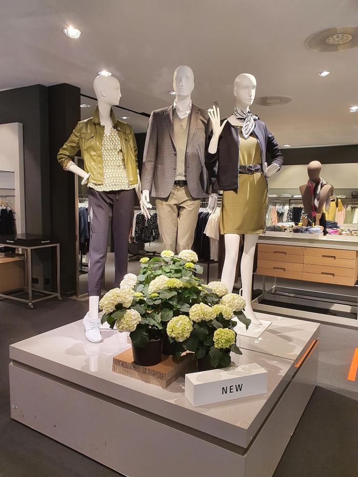 BAYARD CO LTD, Kasinostrasse in Aargau