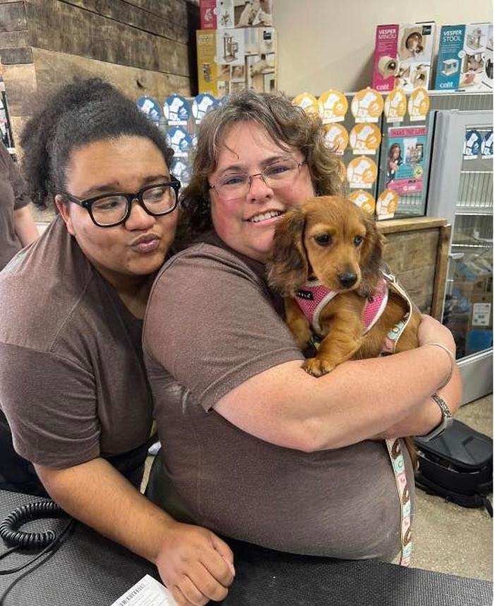 Premier Pet Supply