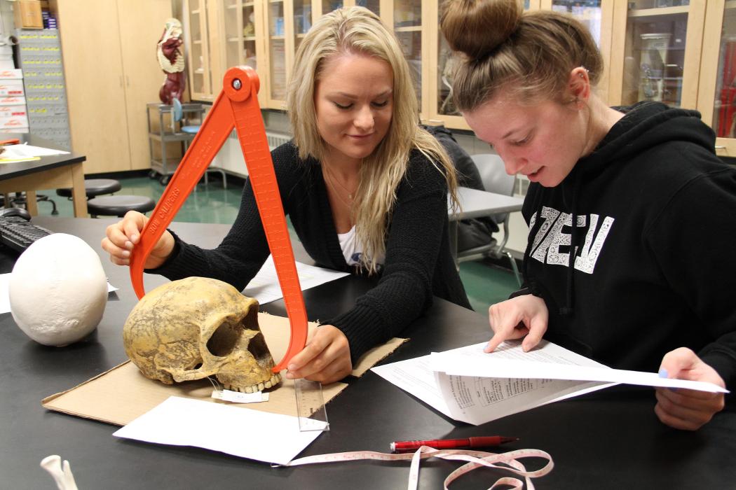 Bay College - Escanaba, MI