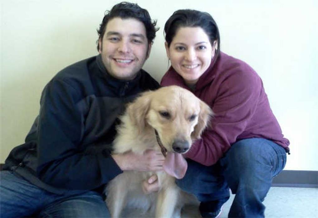 K-9 University - Garland, TX