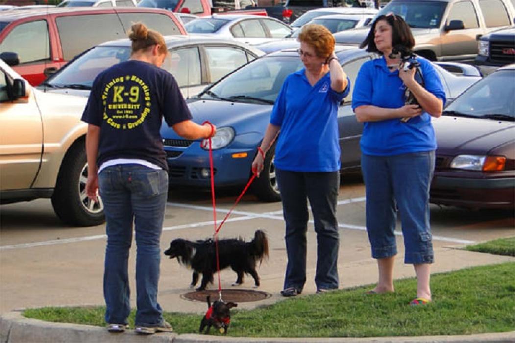 K-9 University - Garland, TX