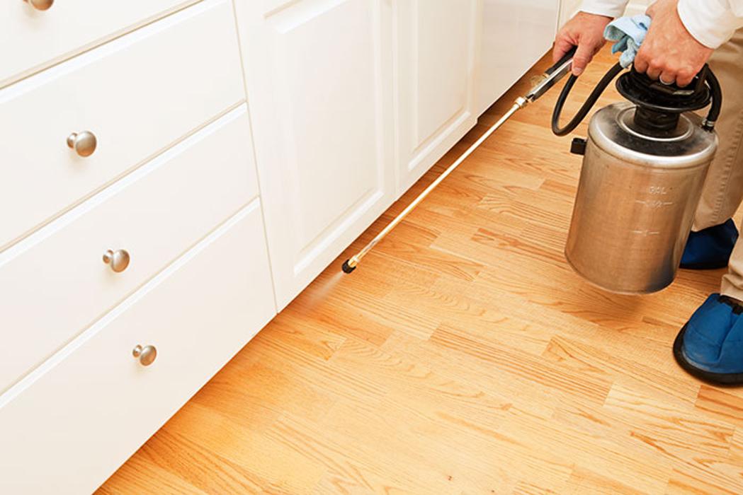 Montgomery Pest Control - Arnold, MD