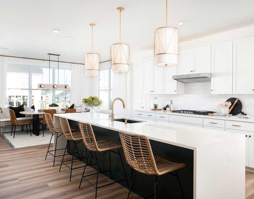 Landsdale Single Family Homes by Tri Pointe Homes - Monrovia, MD