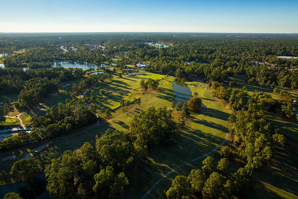 Villas at Royal Brook 65' by Tri Pointe Homes Image