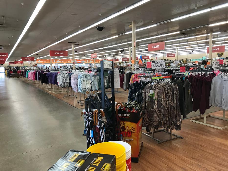 Stock+Field of Rochester - Rochester, IN