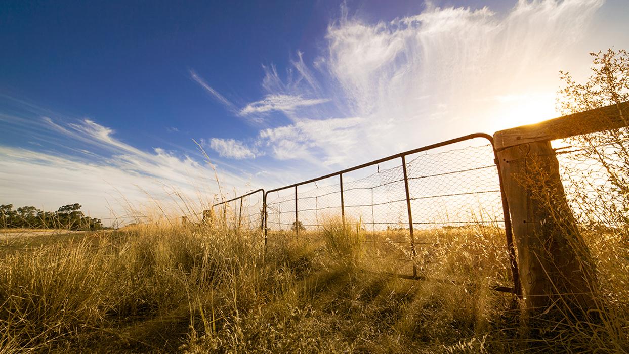 Stock+Field of Crawfordsville - Crawfordsville, IN