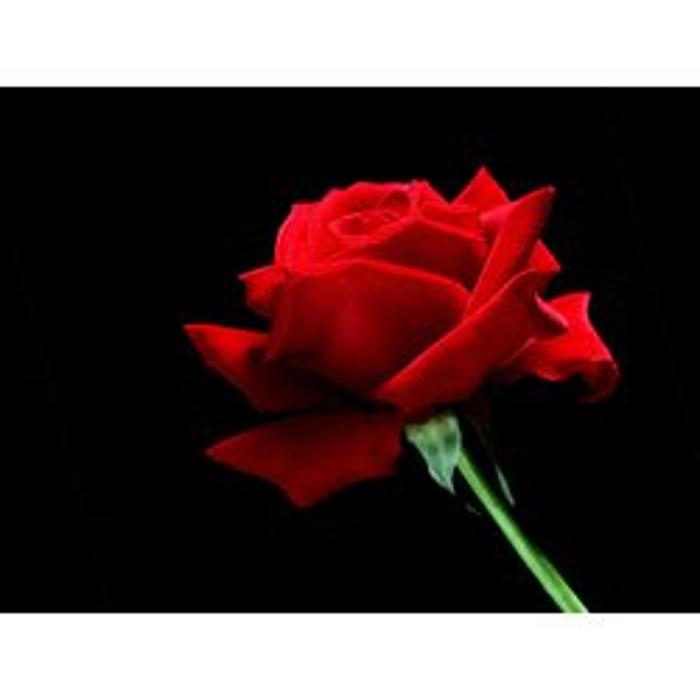 Ron's Spiritual Readings - Laurel, MD