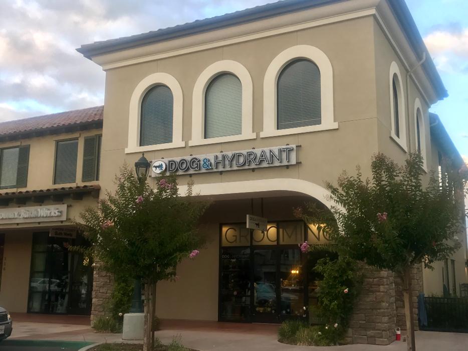 Dog & Hydrant - Windsor, CA