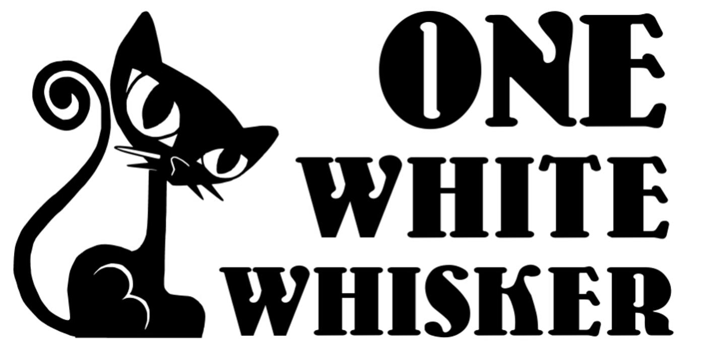 One White Whisker - Cornelius, NC