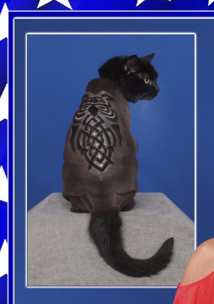 One White Whisker - Cornelius, NC