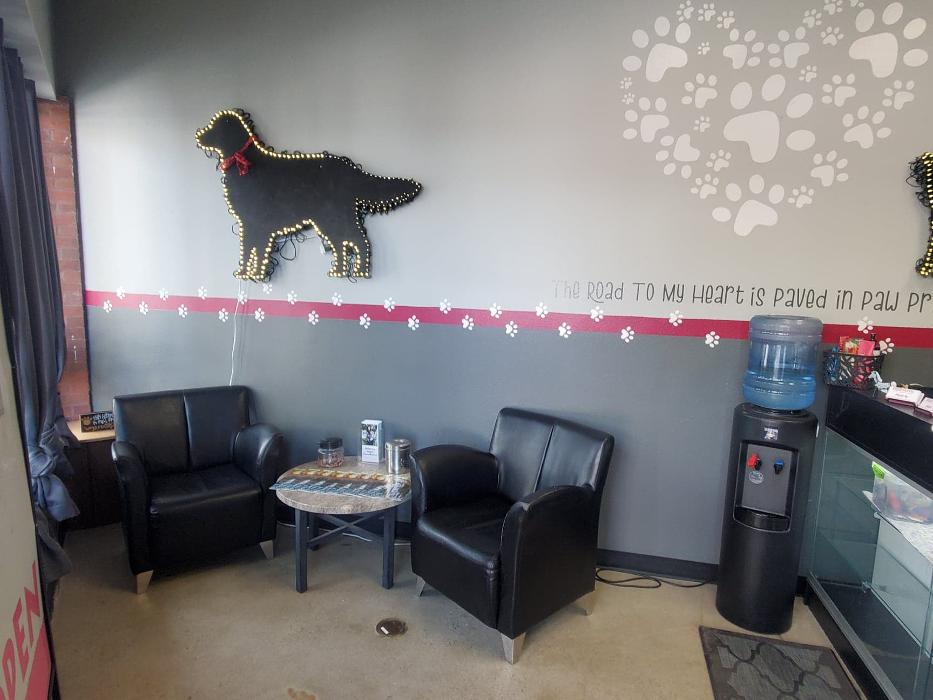 Furtastic Pet Grooming - Golden, CO