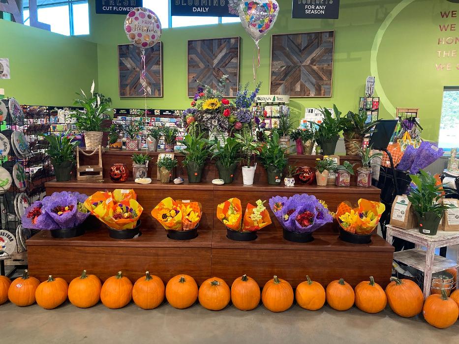 Holiday Market Image