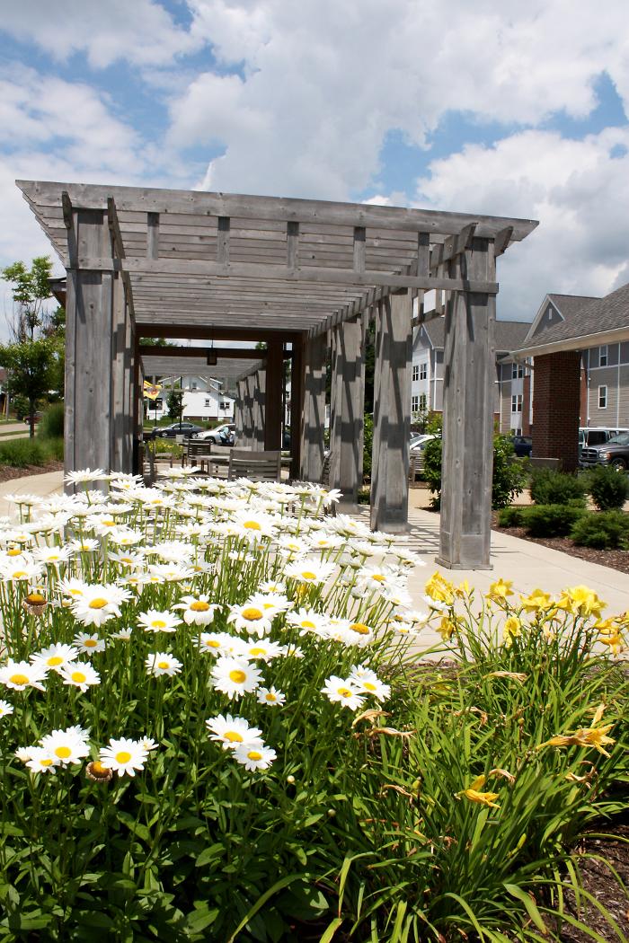 Abbington at the Park - Alliance, OH