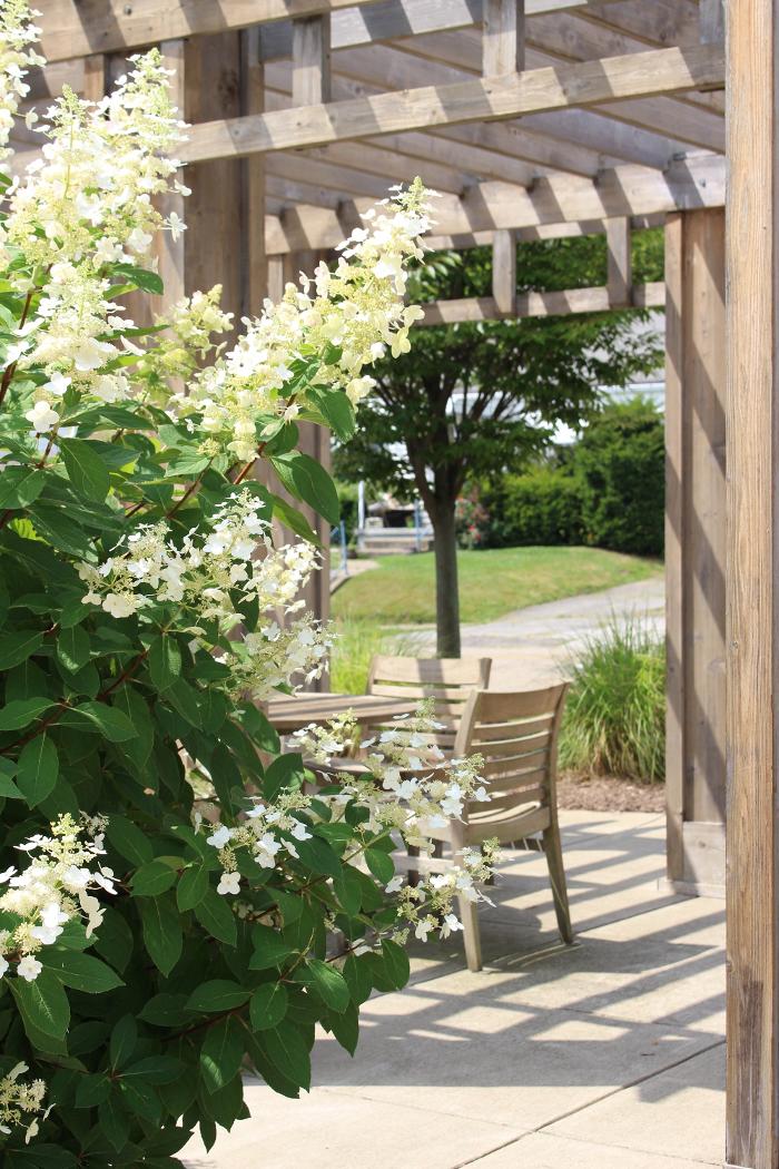 Abbington at the Park - Alliance, OH