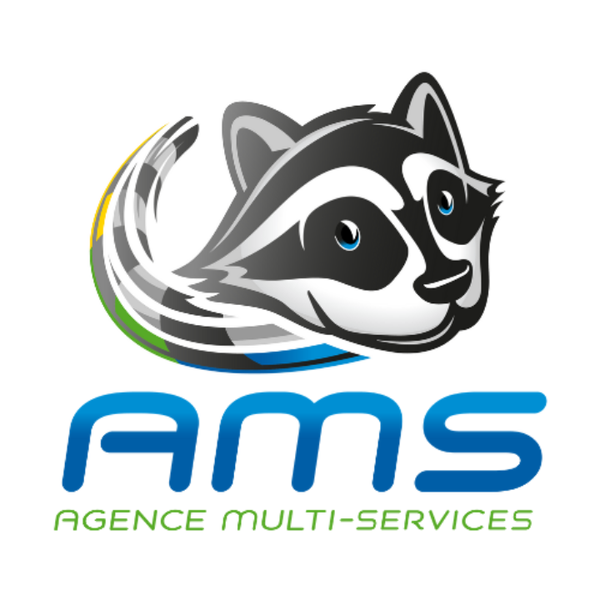Agence Multi-Services vidange et curage