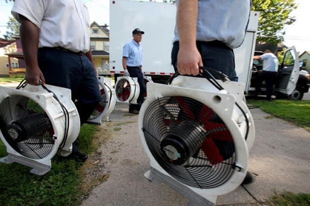Shakespeare Pest Control - Saint George, UT