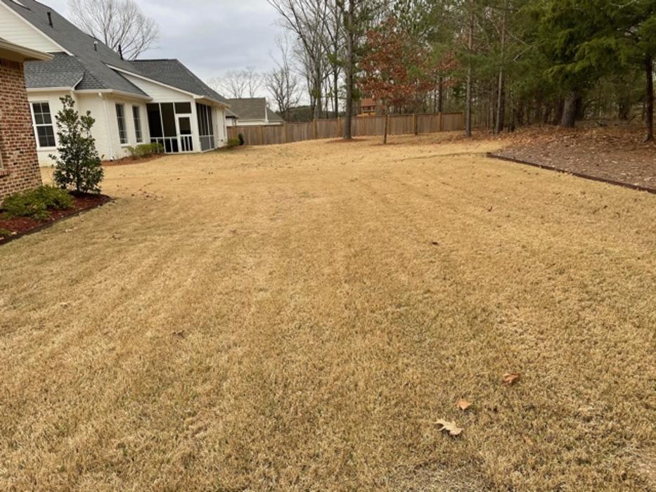 P&G Landscape And Designs LLC - Madison, MS