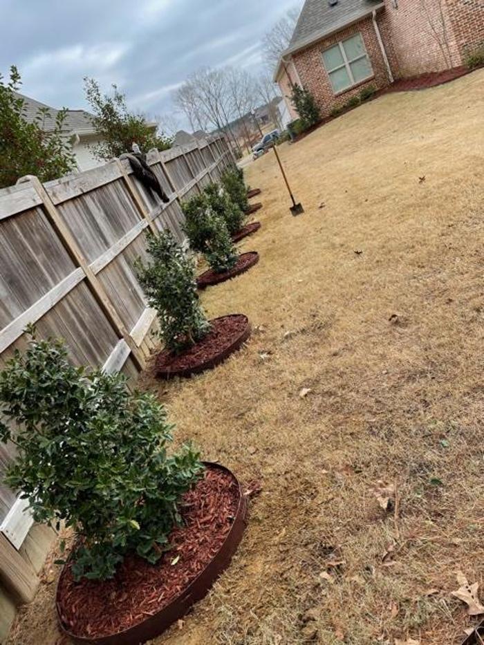 P&G Landscape And Designs LLC - Madison, MS