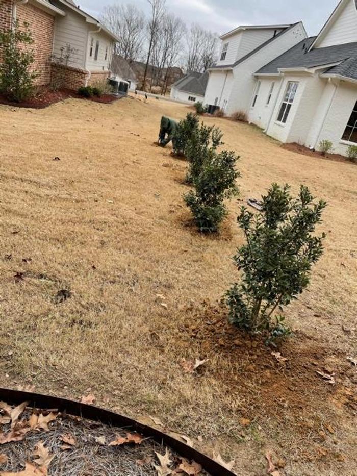 P&G Landscape And Designs LLC - Madison, MS