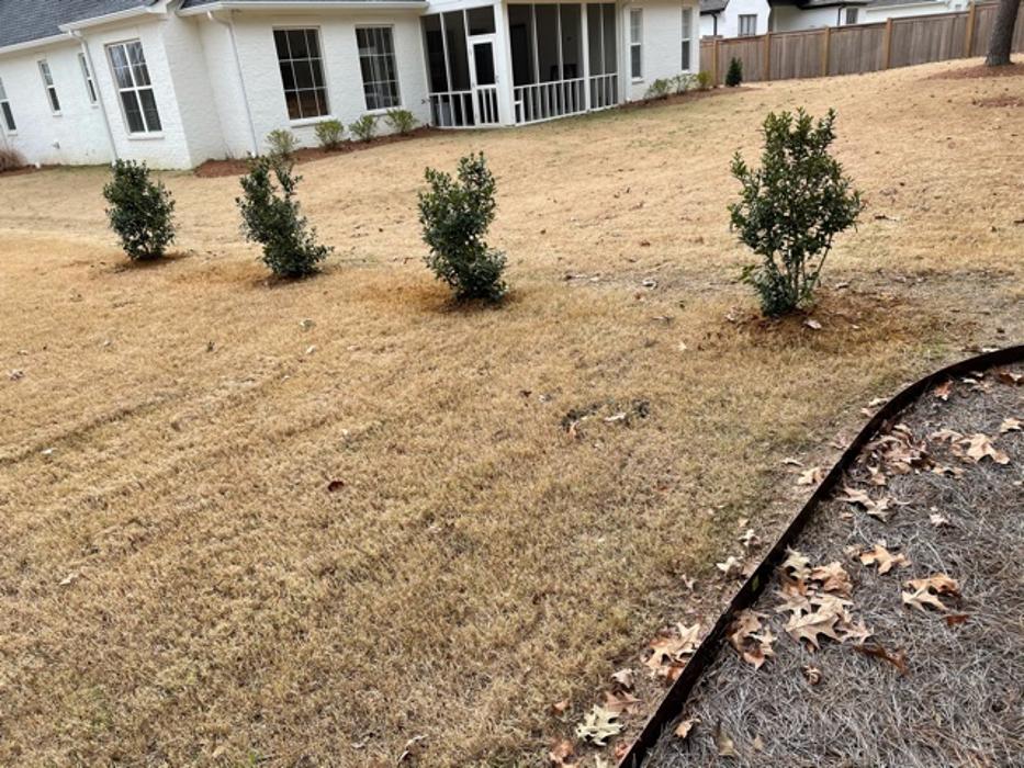 P&G Landscape And Designs LLC - Madison, MS