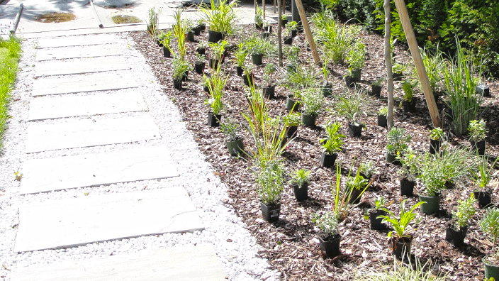 Hojsak Christian Gartengestaltung, Corneliusgasse in Perchtoldsdorf