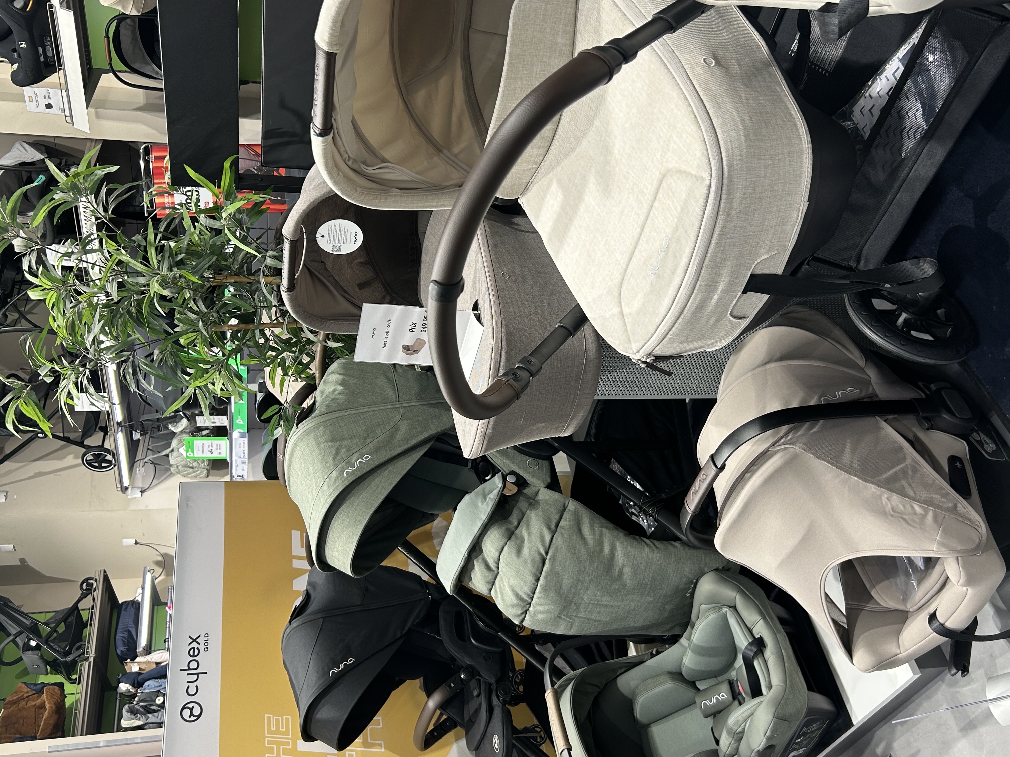 Miniature de la galerie