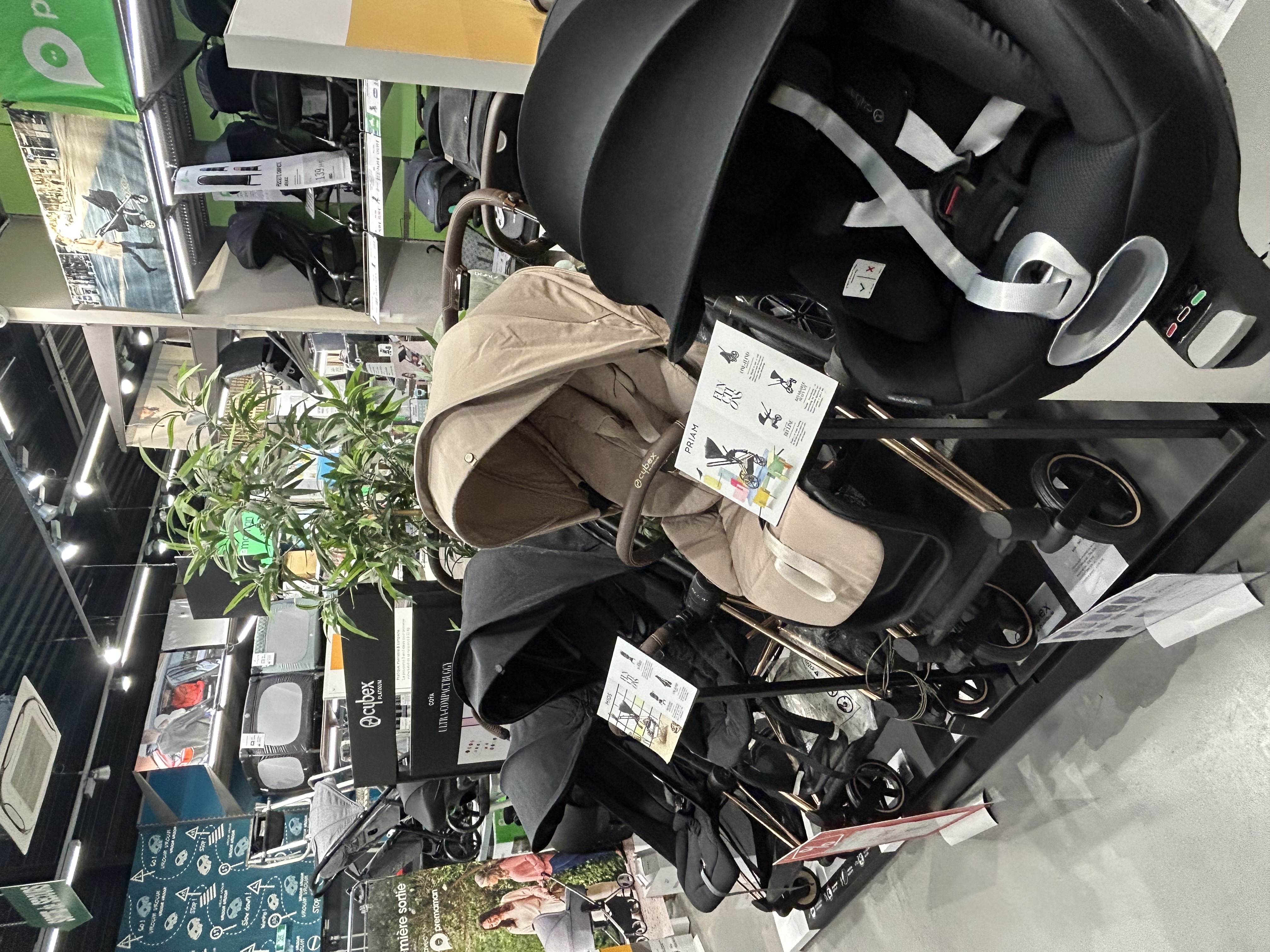 Miniature de la galerie