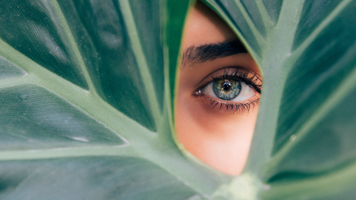Wahre Schönheit Kosmetik, Friesenwall in Köln