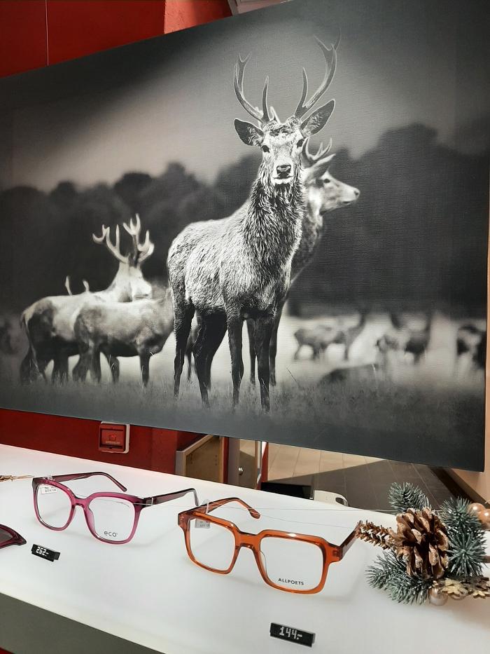 Optik Essmann, Salzstraße in Münster