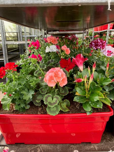 Aubry Horticulteur jardinier