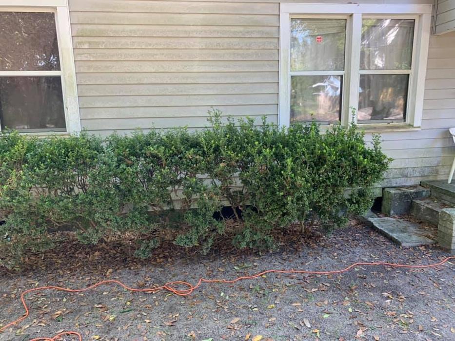 Elegant Lawncare & Maintenance - Lake Ozark, MO