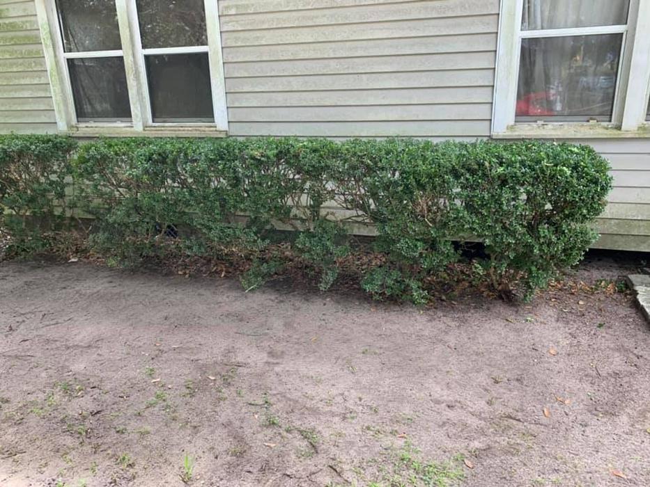 Elegant Lawncare & Maintenance - Lake Ozark, MO