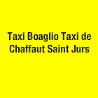 Les Taxis Duyes Bleone taxi