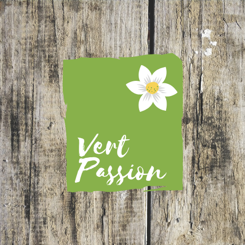 Vert Passion fleuriste