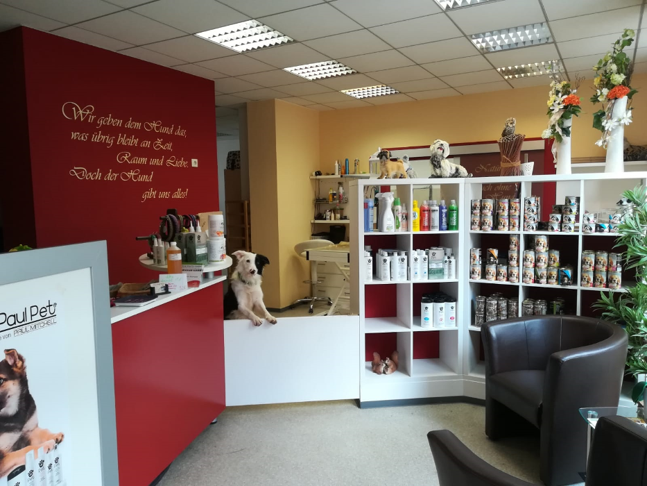 Salon Happy Dog Inh. Nadine Werner, Wiesestraße in Gera