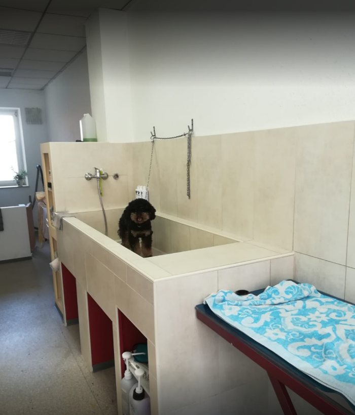 Salon Happy Dog Inh. Nadine Werner, Wiesestraße in Gera