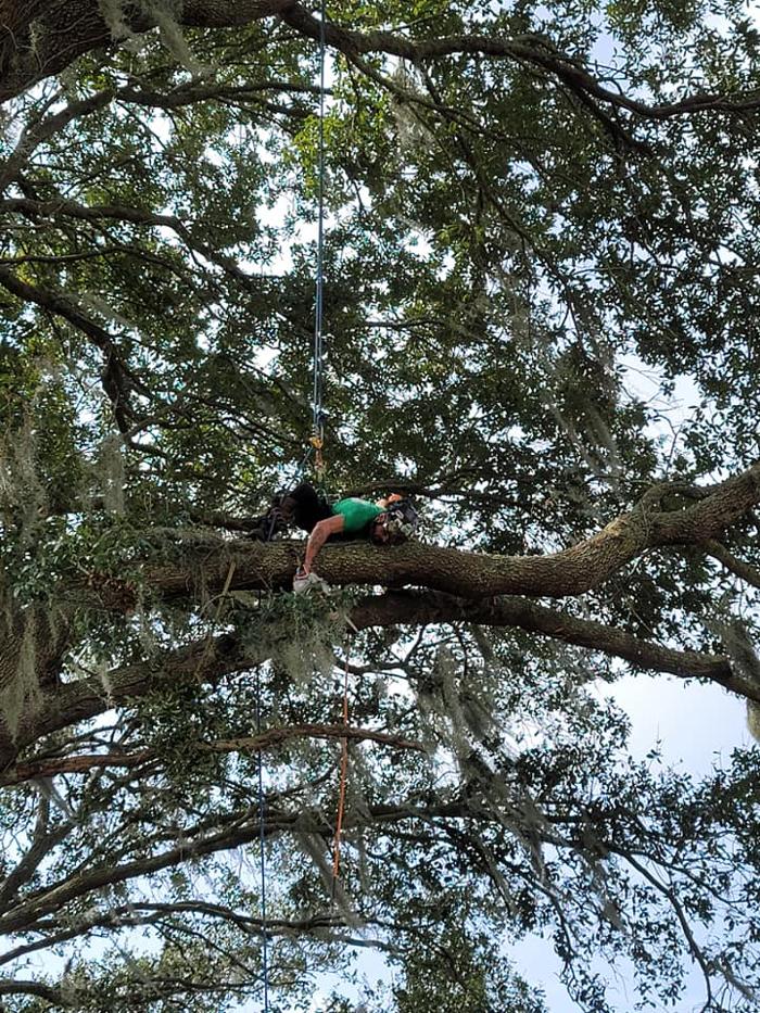 Custom Lakefronts and Tree Care LLC - Port Orange, FL