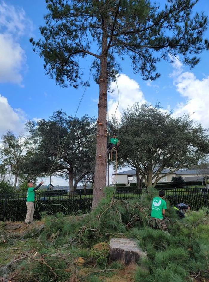 Custom Lakefronts and Tree Care LLC - Port Orange, FL