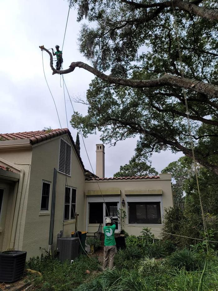 Custom Lakefronts and Tree Care LLC - Port Orange, FL